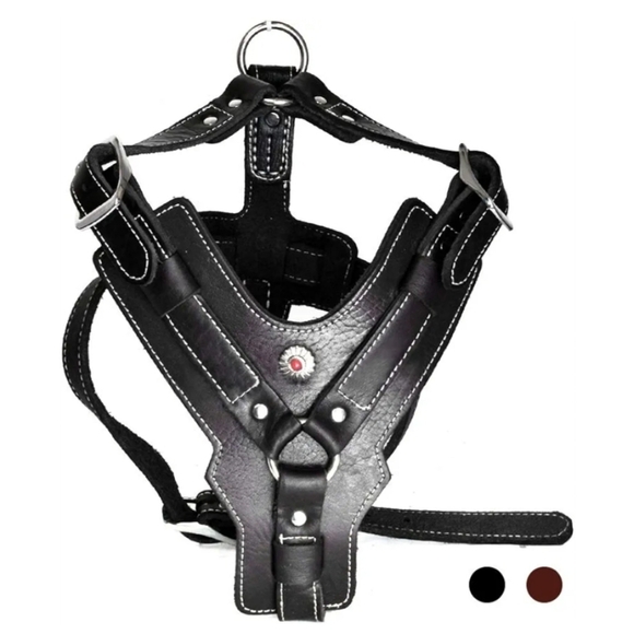 Black Leather Dog Harness New - Picture 1 of 14